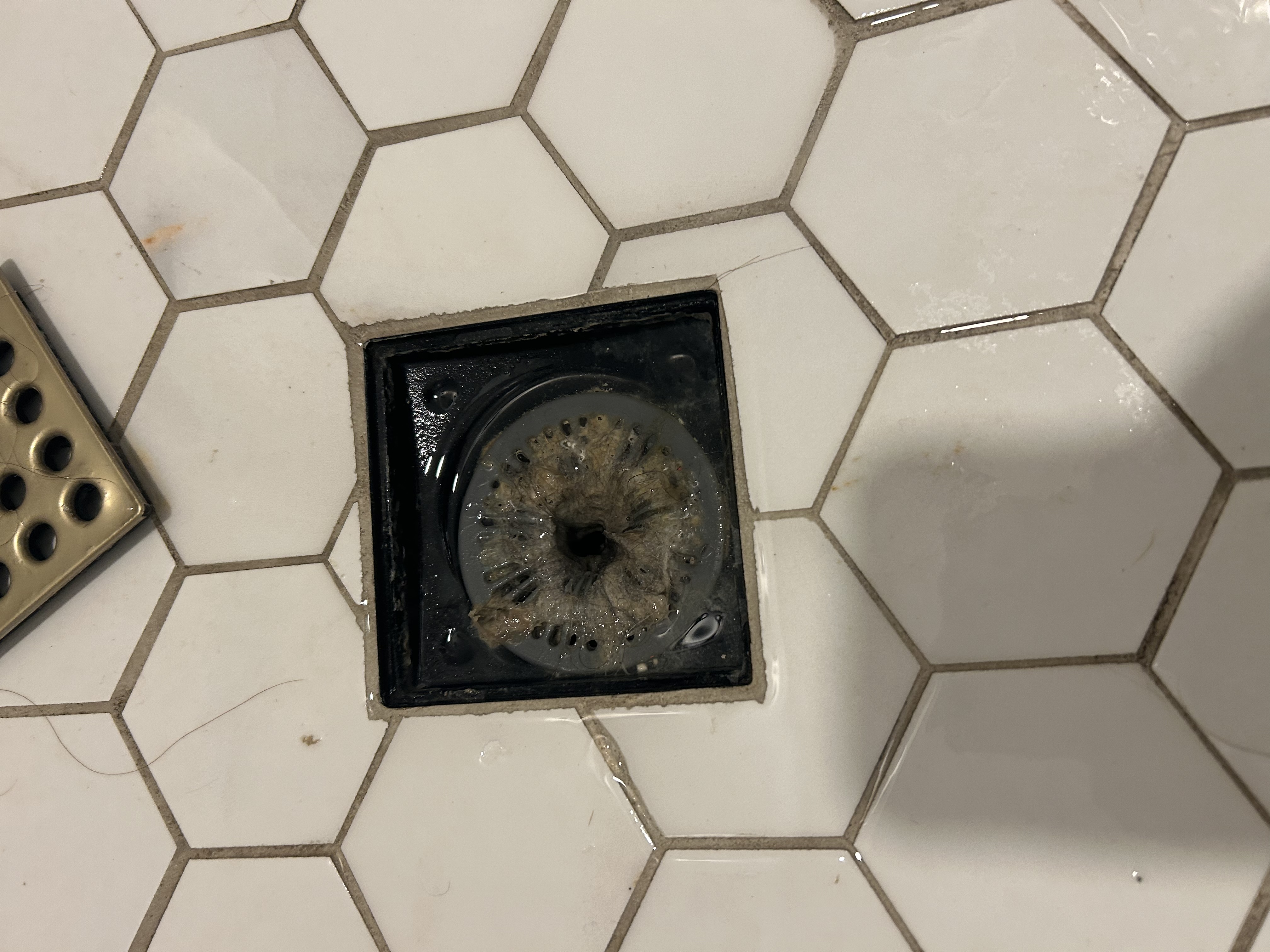 Corroded shower drain strainer removed from Scottsdale guest bath — hair and soap scum buildup — Desert Rain Plumbing