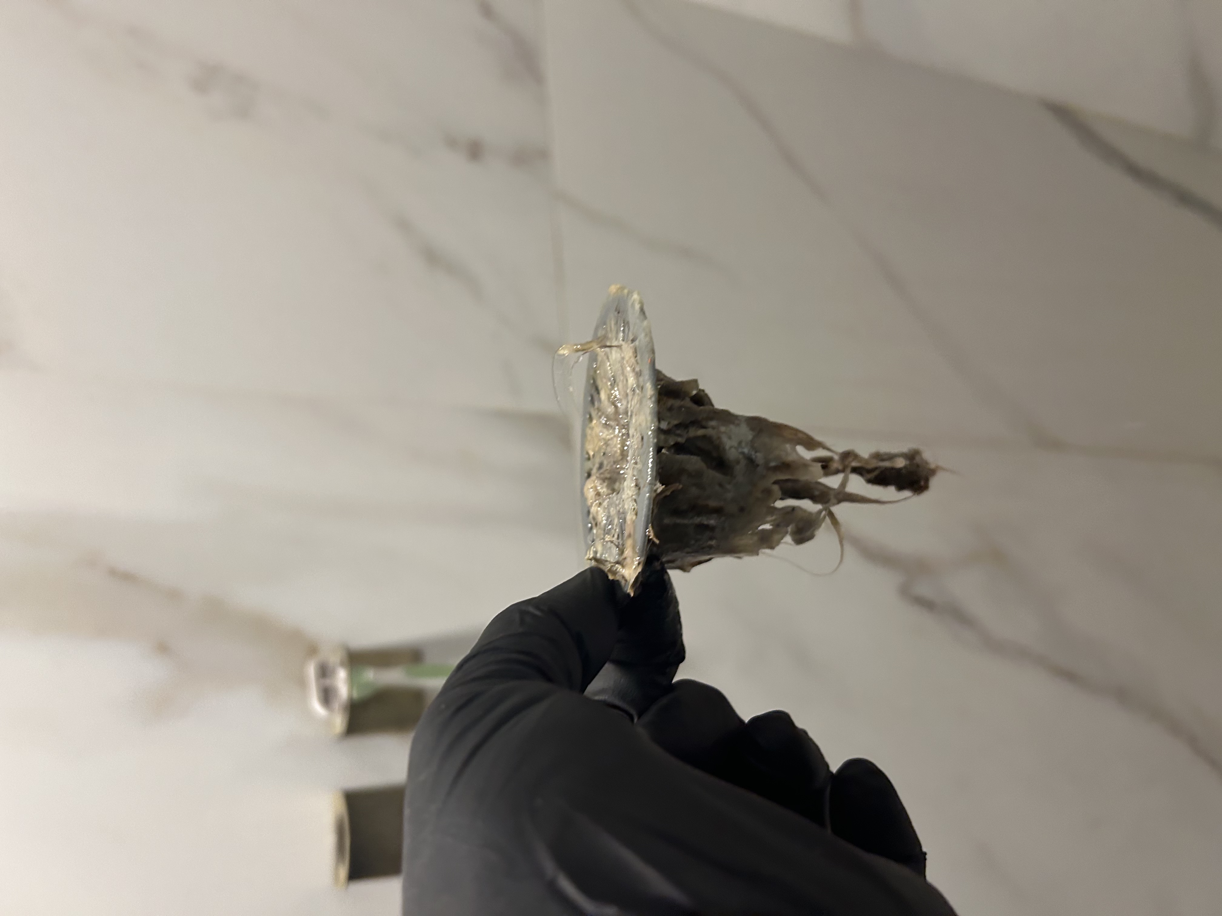 Matt's gloved hand holding corroded interior shower strainer after removal — Scottsdale AZ slow drain job